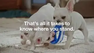 Risk Test Puppies :15 | Type 2 Diabetes Prevention | Ad Council