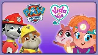 Turtle Facts and Pup Adventures! | Vida the Vet | PAW Patrol | Cartoons for Kids