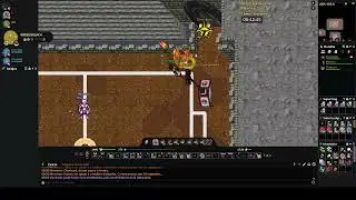 Fazendo Mewtwo Main Newserver, pokémon +0 e sem helds
