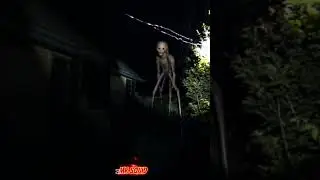 UNO STRANO AVVISTAMENTO IN CAMPAGNA #mostro #horror #horrorstories #shorts #shortsvideo
