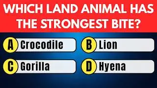 Can You Guess These Animals? 🧠 | Animal Quiz Challenge 2025