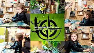 @reptilevillage Happy 6th Birthday Melania🦋#nrz #reptiles #snake #lizard #tortoise #birthday #joy