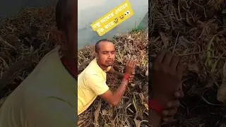বন্ধু আমার আফসোস করলো।#shorts #comedy #trinding #original #youtubeshorts #funny @Bongvideo-420