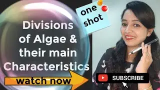 Divisions of Algae | Algae Characteristics | NCERT class 11 | Quick  NEET Revision series