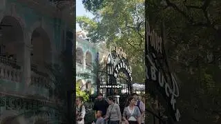 Зашли за кофе, а попали в Хогвартс! #бюджетныепутешествия #china #китай