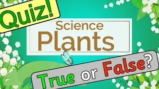 SCIENCE: Plants QUIZ for kids | Miss Ellis 🌿 #trees #plants