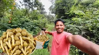 Junglee Mushroom | Wild Vegetable  , Forest Mushroom 