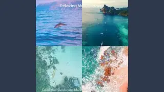 Brilliant Anxiety