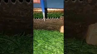 Fix Your Dull Hand Saw in Minutes &ndash; No Power Tools Needed!