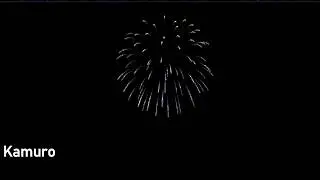 Basic Firework Types