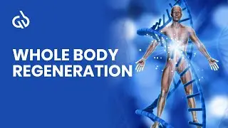 Whole Body Regeneration: Rife Frequency for Whole Body Healing (1 Hour)