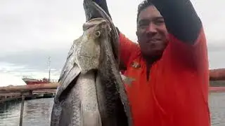 Baramundi