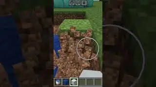Coral Fan Carpet Hack! Transform Your Build with This Trending Design 🔥