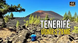 Kelionė į Tenerifę (2). Ugnikalniai, įspūdingos pakrantės