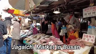 【SEOUL KOREA】🇰🇷 Busan Jagalchi Market Tour
