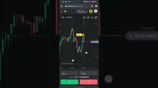 Binomo Bug Signals - Trading - 2023