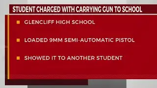 'Needed it for protection': Student allegedly brings gun to school