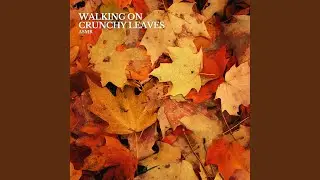 ASMR Crunchy Leaves