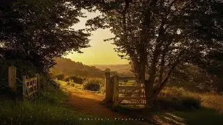 a dreamy cottage playlist for a quiet morning