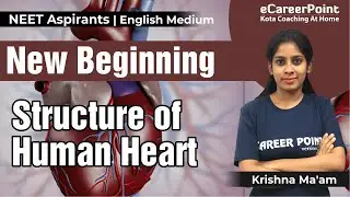 Structure of Human Heart | New Beginning | Krishna Ma'am | eCareerPoint-English Medium