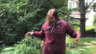 Ice Bucket Challenge