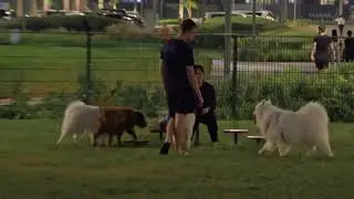 Самый зеленый парк в Дубае. Dubai Hills Park.Golden hour