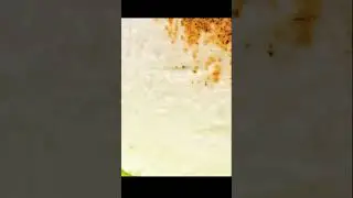 Malvavisco asado de manera apetitosa.