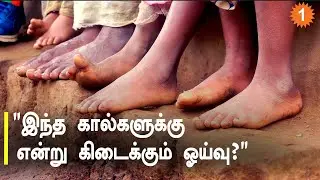 Irulas Tribe Documentary | 8 km நடக்கும் மக்கள்.. அல்லல்படும் மலை கிராமம் DocuOne *Documentary