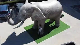 Inflatable Elephant Replica
