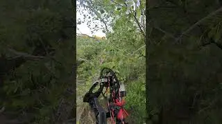 Opening day breaking the ice on a doe. New York deer hunting