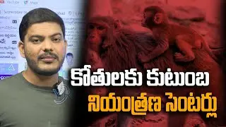 కోతులకు కుటుంబ నియంత్రణ సెంటర్లు | Monkey Family Planning Operation | YR TV Telugu