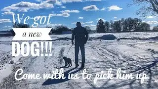 BIG NEWS!!!  We&rsquo;re adding to our family!