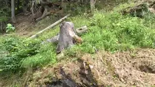 프랑스 샤모니 산악열차는 이런가야~
