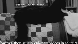 Walker Art Center Ends Popular Internet Cat Video Festival