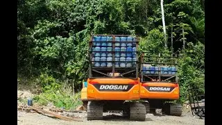 Live PETI Pertambangan Bongkahan EMAS  Tanpa Izin