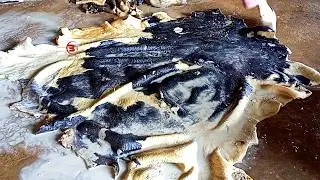 Raw Leather Manufacturing Step by Step | From Hide to Leather