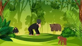 From Bonk to Bank The Coconut Cracking Monkey&rsquo;s Big Idea