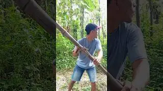 Viral bird master, make people laugh out loud funny videos entertainment +62 viral funny videos