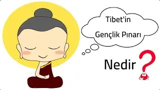 Tibetin 5 Hareketi | Tibet'in Gençlik Pınarı ile Mucizeyi Yaşa