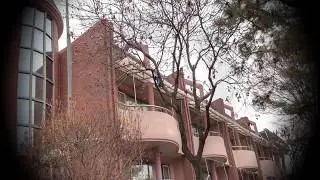 금산초등학교 교가