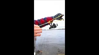 🎣 Must-Have Weird Gadget Every Fisherman Will Love