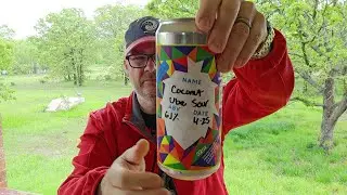 Frenzy Brewing - Coconut Ube Sour Beer Review