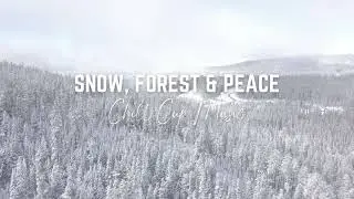 SNOW, FOREST & PEACE | Calm Piano Music for Relaxation & Study