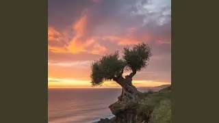 Trust the Journey