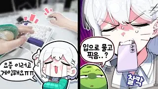 설백은 이 사진을 어떻게 찍었을까
