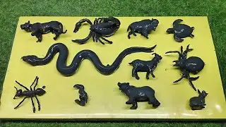 Dirty Toy ➜ Real Animal ✨ | Fun Toy Wash  | Satisfying Wash Transformation | WASH & MAGIC #13