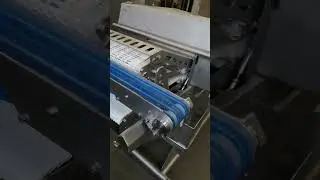 Marel Smart Splitter