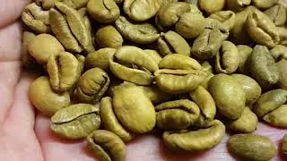Kapihan Philipiine Coffee Farm to Cup