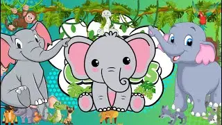 Gentle Giants Elephants Hear with Their Feet 🐘👣 #educationalvideo #elephant #minigenius #jungle