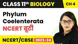 NCERT बूटी: Phylum Coelenterata - Animal Kingdom | Class 11 Biology Chapter 4 | NCERT/CBSE